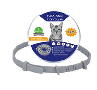 EasyWear Silicone Flea-Free Collar