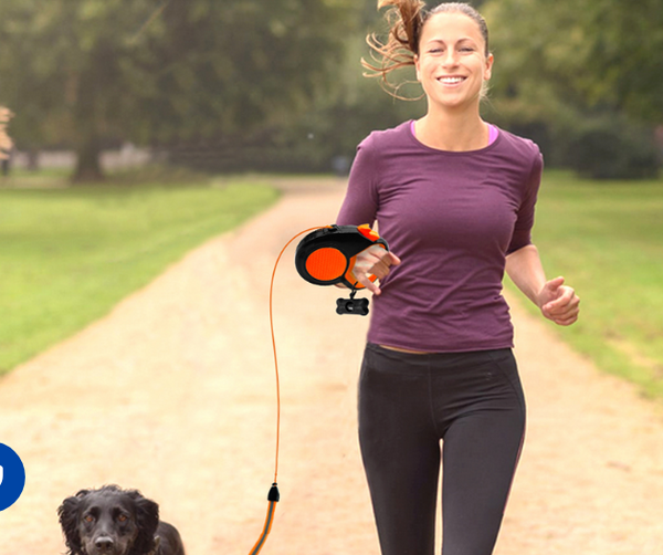 SafetyGlow Pet Leash